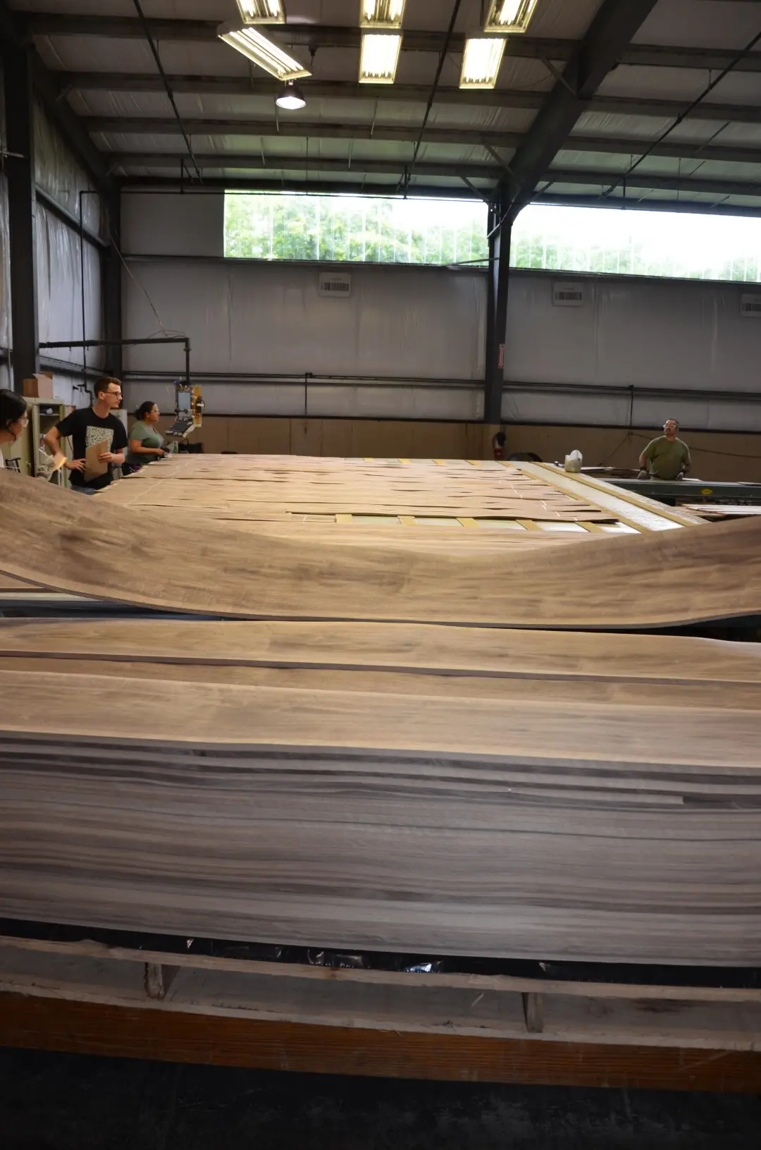 Veneer Production Line