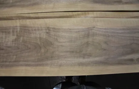Grain View of Walnut Veneer