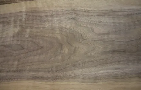 Grain View of Walnut
